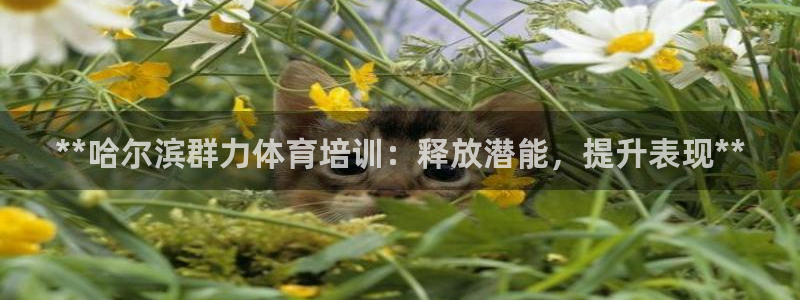 富联娱乐会员账号怎么注销：**哈尔滨群力体育培训：释