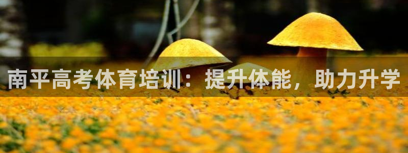 富联娱乐代 41IO31 娱乐
