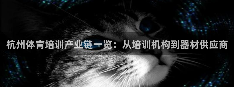 富联平台离7O777：杭州体育培训产业链一览：从培训