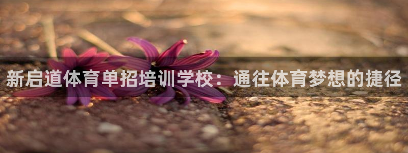 富联娱乐口 5O6917 娱乐：新启道体育单招培训学