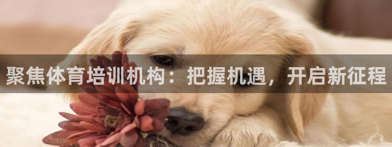 富联平台半7O777：聚焦体育培训机构：把握机遇，开