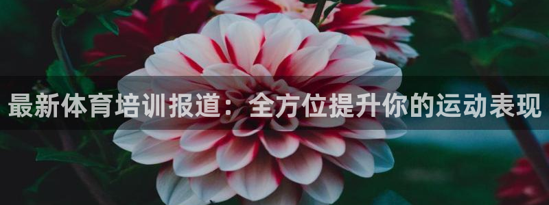 富联娱乐测速怎么样：最新体育培训报道：全方位提升你的