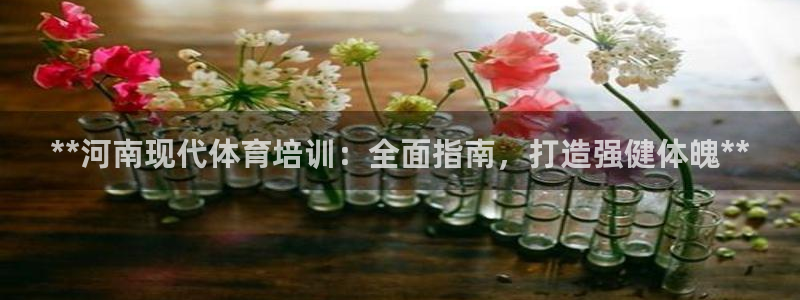 富联平台官网：**河南现代体育培训：全面指南，打造强