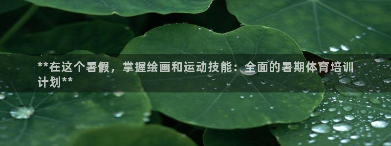 富联官网登录入口网址：**在这个暑假，掌握绘画和运动技能：全