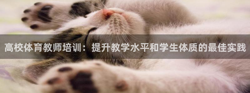 富联娱乐官方网站入口：高校体育教师培训：提升教学水平和学生体