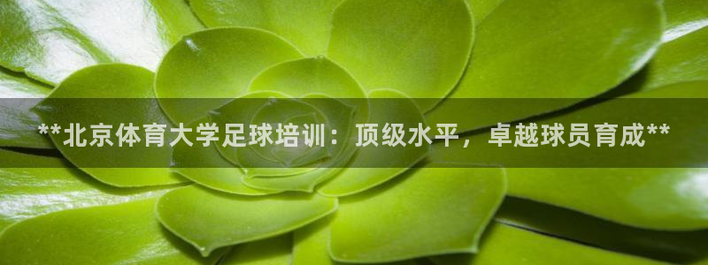 富联科技上市了吗今天：**北京体育大学足球培训：顶级