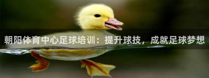 富联官网注册不了账号怎么办：朝阳体育中心足球培训：提