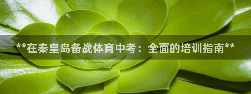 深圳富联智能制造产业创新中心：**在秦皇岛备战体育中