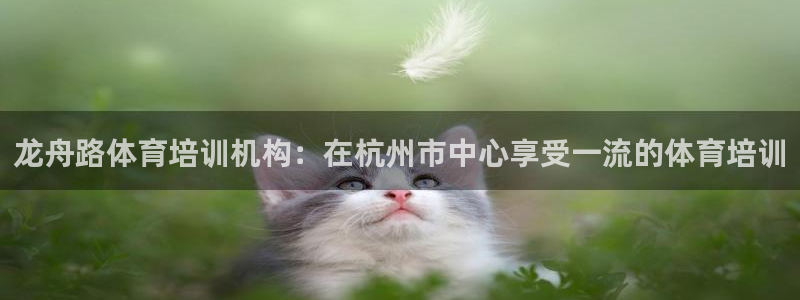 富联娱乐登录注册入口官网网址查询：龙舟路体育培训机构
