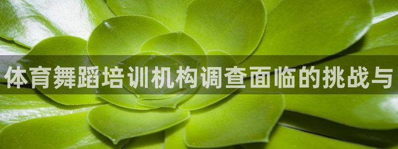 富联娱乐是骗局吗知乎：体育舞蹈培训机构调查面临的挑战与