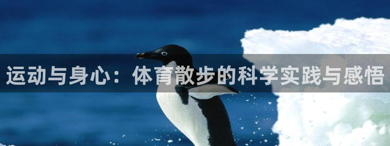 富联娱乐代理怎么做赚钱