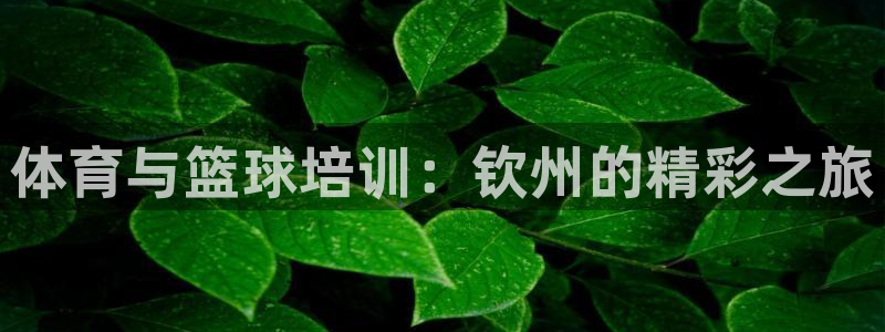 富联科技上市了吗今天