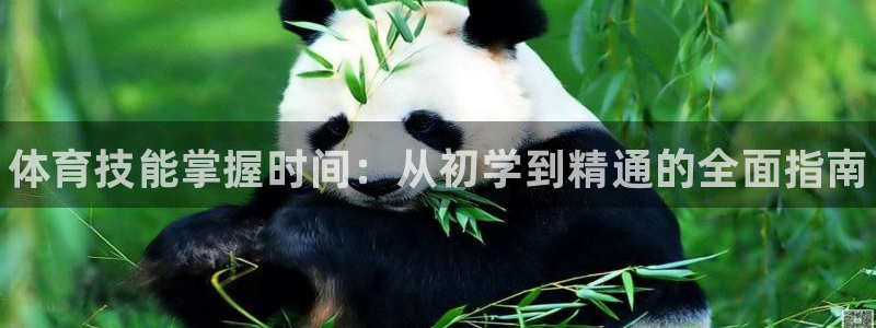 富联娱乐官方网站首页下载：体育技能掌握时间：从初学到精通的全