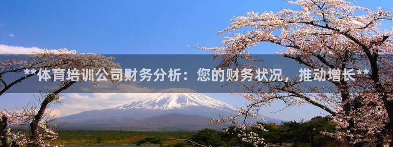 富联官网注册流程视频：**体育培训公司财务分析：您的财务状况