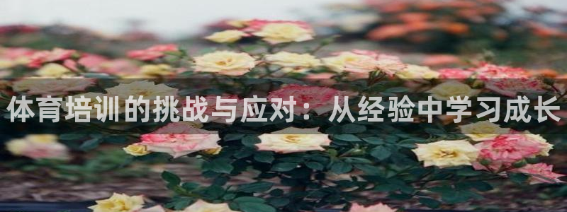 富联娱乐李 411O31 娱乐：体育培训的挑战与应对