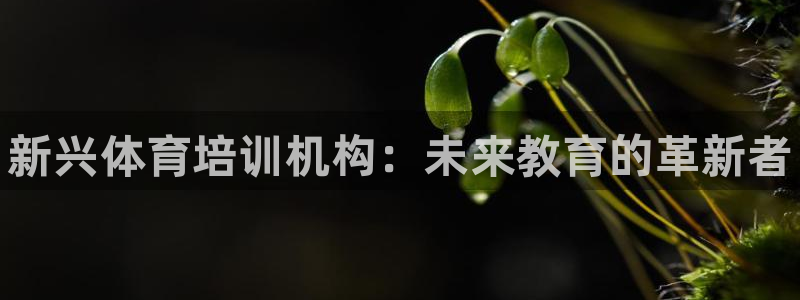 富联娱乐服务站怎么样：新兴体育培训机构：未来教育的革