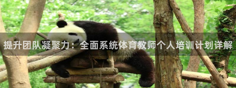 富联官网注册流程图：提升团队凝聚力：全面系统体育教师