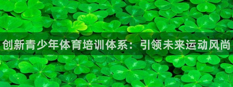 富联平台注册登录不了：创新青少年体育培训体系：引领未