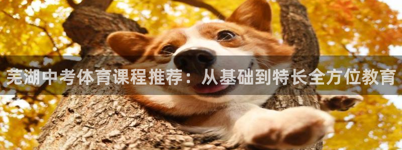 富联平台社7O777：芜湖中考体育课程推荐：从基础到