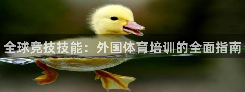 富联娱乐平台开户：全球竞技技能：外国体育培训的全面指南