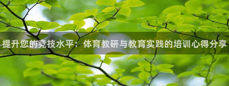 富联平台网站官网：提升您的竞技水平：体育教研与教育实