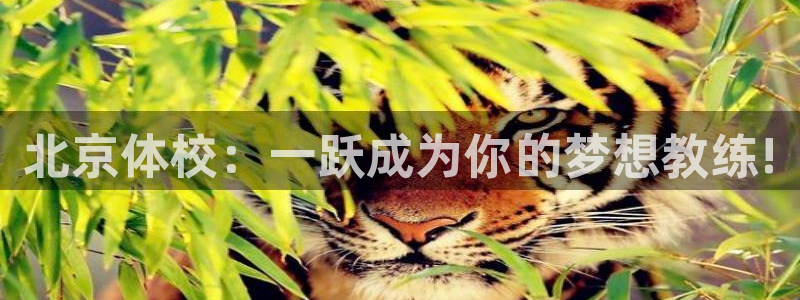 富联平台官网下载：北京体校：一跃成为你的梦想教练!