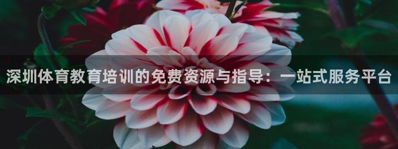 富联娱乐客服微信