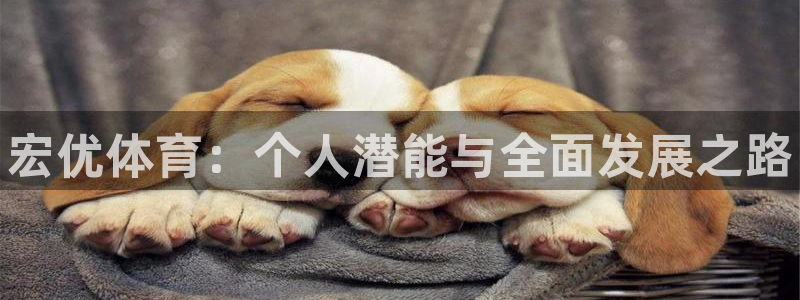 中国富联股票行情：宏优体育：个人潜能与全面发展之路